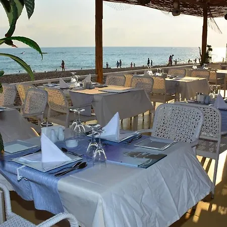 J'adore Deluxe & Ultra 5* シダ